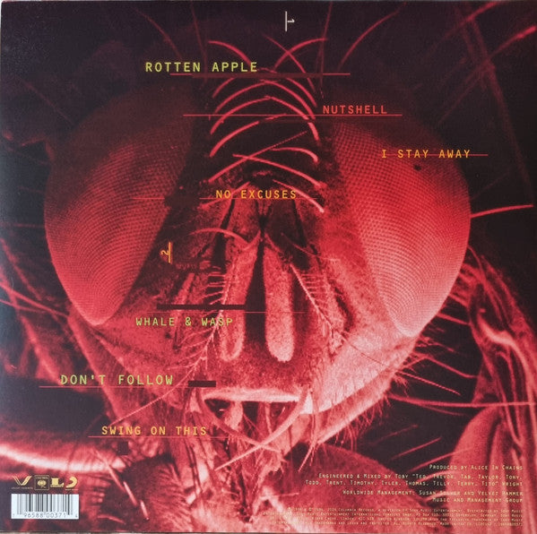 Alice In Chains – Jar Of Flies